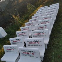 Z7283570612779 55f9eadf70dd4800553dea9376160de5